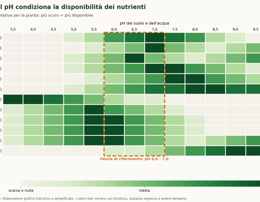 ph e assorbimento dei nutrienti